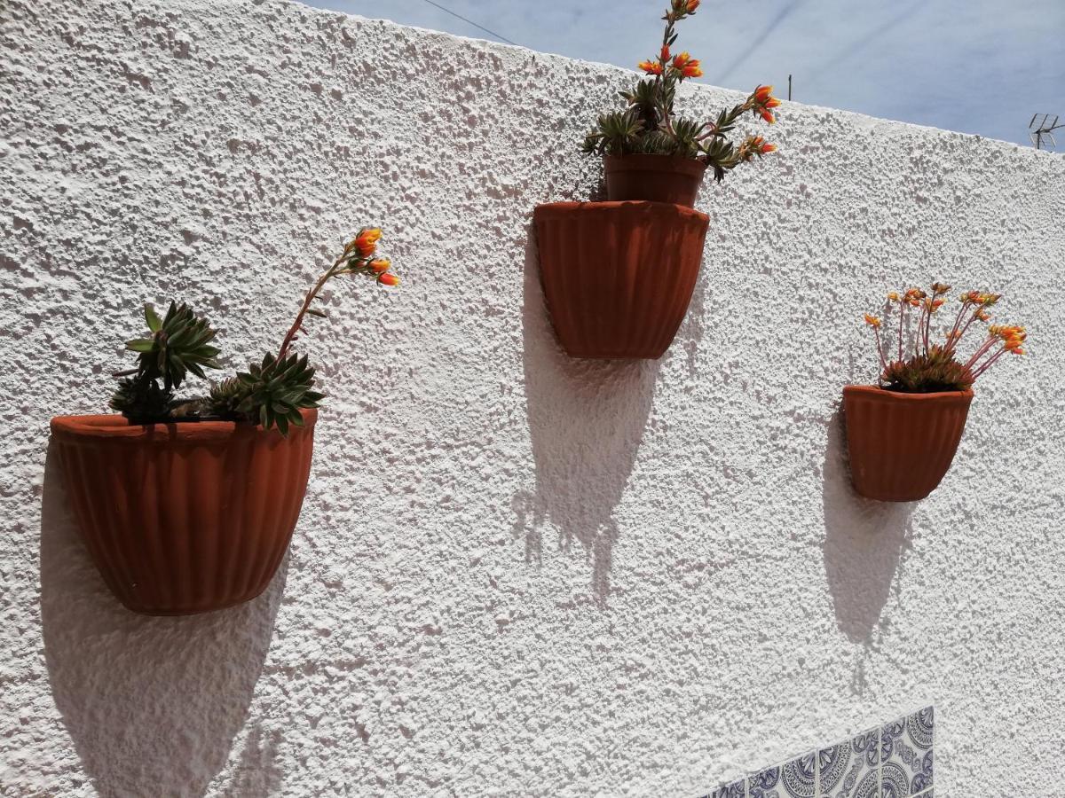 Casa De Praia Vila do Conde Dış mekan fotoğraf